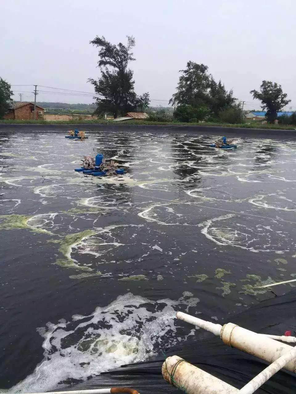 罗茨风机.jpg 罗茨风机.jpg